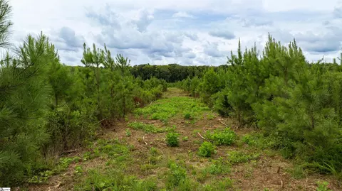 002 Young Rd, Clinton, SC 29325 photo 5
