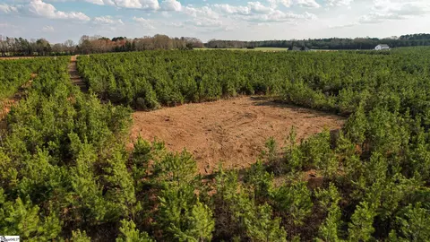 004 Young Rd, Clinton, SC 29325 photo 11
