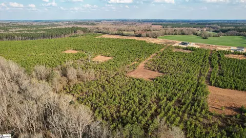004 Young Rd, Clinton, SC 29325 photo 8