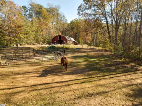 284 Devils Fork Rd, Marietta, SC 29661 photo 47