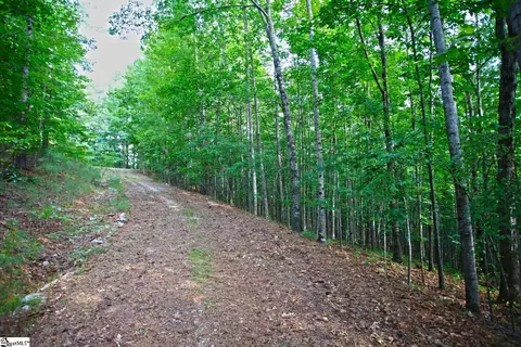 407 Nesting Pine Ct, Seneca, SC 29672 photo 7