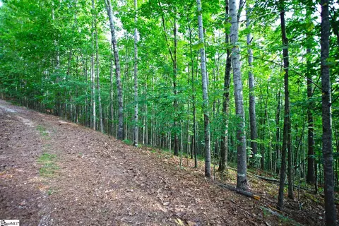 407 Nesting Pine Ct, Seneca, SC 29672 photo 8