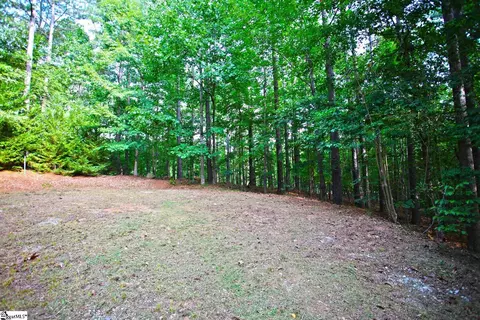 407 Nesting Pine Ct, Seneca, SC 29672 photo 10