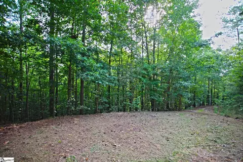 407 Nesting Pine Ct, Seneca, SC 29672 photo 12