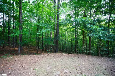 407 Nesting Pine Ct, Seneca, SC 29672 photo 13
