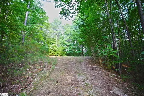 407 Nesting Pine Ct, Seneca, SC 29672 photo 9