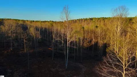 006 Tower Rd, Toccoa, GA 30577 photo 6