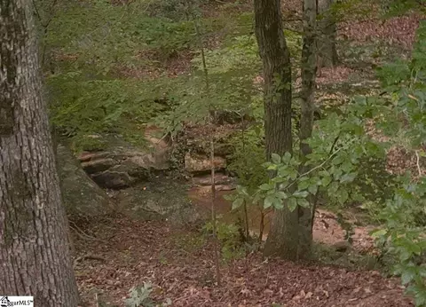 6945 Indian Mound Rd, Waterloo, SC 29384 photo 2