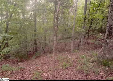 6945 Indian Mound Rd, Waterloo, SC 29384