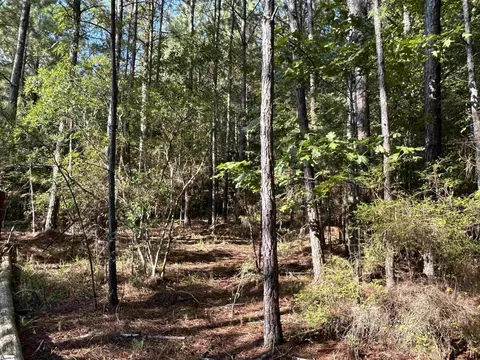 00 Cockrell Rd, Chappells, SC 29037 photo 6