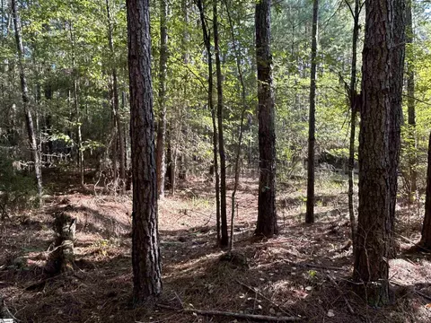 00 Cockrell Rd, Chappells, SC 29037