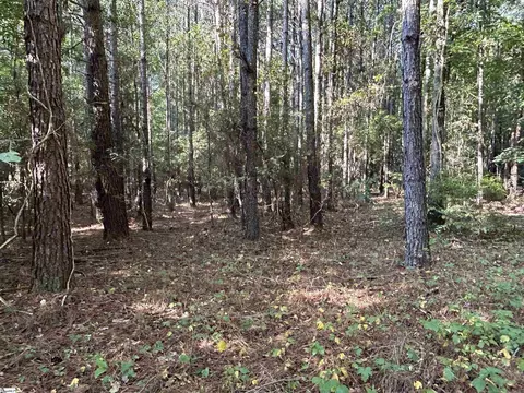 00 Cockrell Rd, Chappells, SC 29037 photo 2
