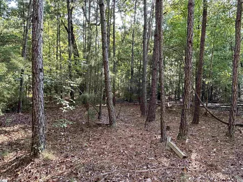 00 Cockrell Rd, Chappells, SC 29037 photo 5