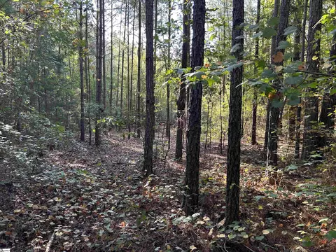 00 Cockrell Rd, Chappells, SC 29037 photo 3