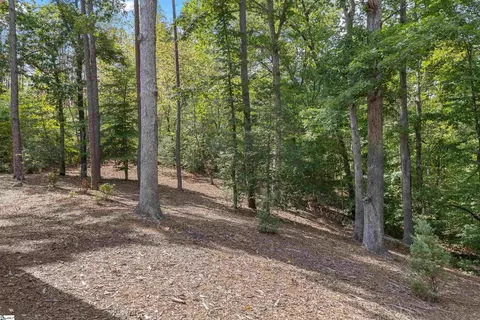214 Talons Ridge Rd, Seneca, SC 29672 photo 34