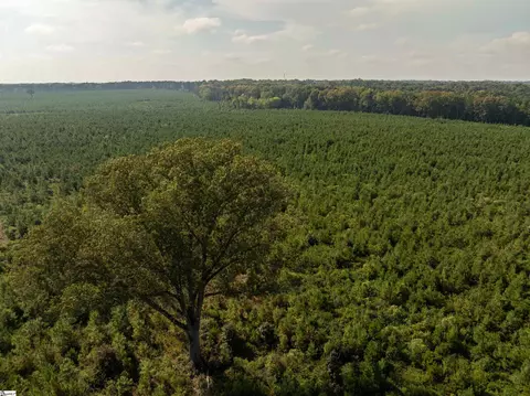 005 Young Rd, Clinton, SC 29325 photo 19