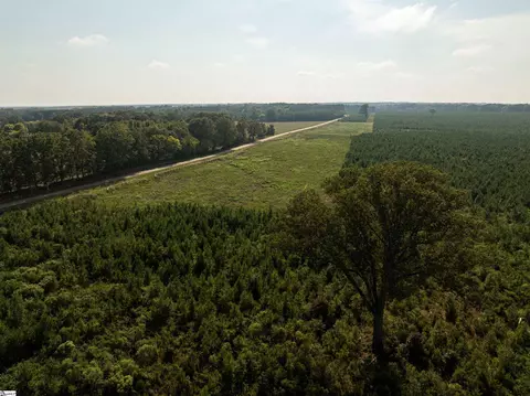 007 Young Rd, Clinton, SC 29325 photo 15