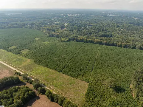 007 Young Rd, Clinton, SC 29325 photo 9