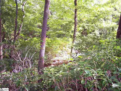 8 Woods Pond Cr Woods Pond Ct, Cleveland, SC 29635