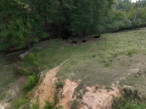 599 Martin Rd, Starr, SC 29684 photo 33