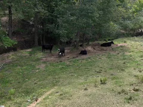 599 Martin Rd, Starr, SC 29684 photo 34