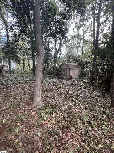 Other - 202 Tarleton Way, Greer, SC 29650 photo 16 of 16