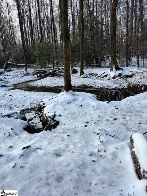 00 Ridge Rd, Greer, SC 29651 photo 14