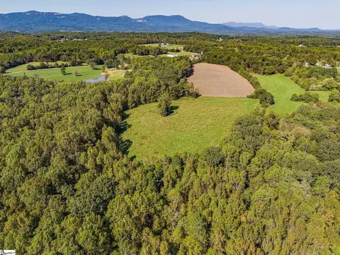 00 Ridge Rd, Greer, SC 29651 photo 9