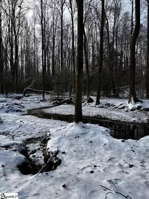 00 Ridge Rd, Greer, SC 29651 photo 16