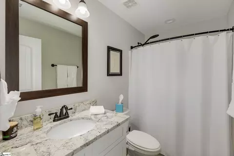 Bath - 1011 Waterside Dr, Easley, SC 29642 photo 3 of 3