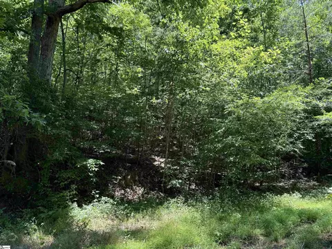 00 Glendlyon Dr, Landrum, SC 29356
