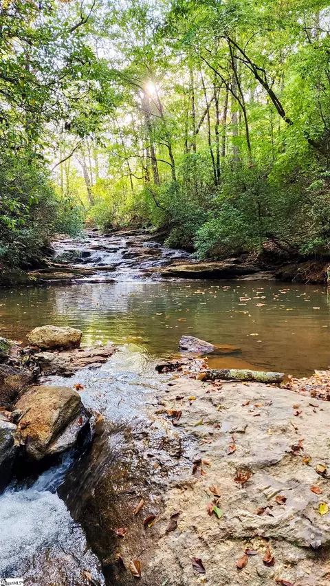 Other - 105 Willow Spring Rd, Six Mile, SC 29682 photo 9 of 10
