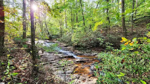 Other - 105 Willow Spring Rd, Six Mile, SC 29682 photo 10 of 10