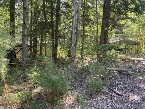 1008 Grumling Rd, Hodges, SC 29653 photo 2