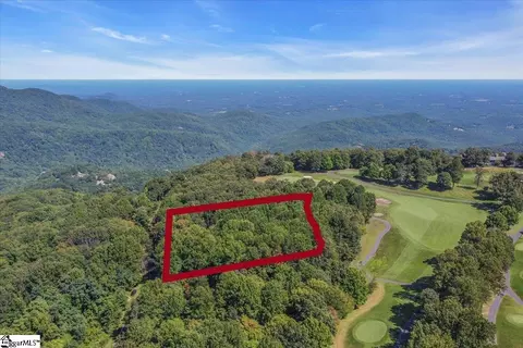 241 May Apple Way, Landrum, SC 29356