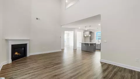 209 Paperbark Dr, Mauldin, SC 29607 photo 9