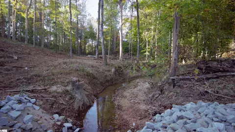 Other - 155 Looper Rd, Easley, SC 29640 photo 7 of 8
