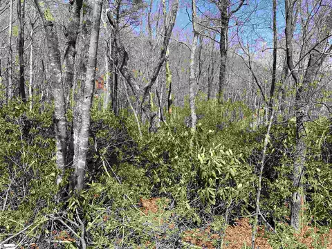 12 Blazing Star Trl, Landrum, SC 29356