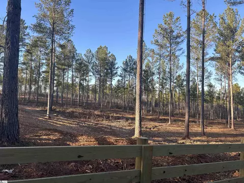 309 Berry Rd, Pelzer, SC 29669 photo 3