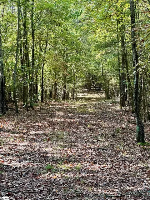 0 Terrapin Rd, Union, SC 29379 photo 6