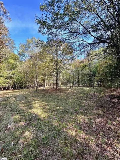 0 Terrapin Rd, Union, SC 29379 photo 3