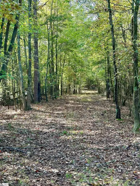 0 Terrapin Rd, Union, SC 29379 photo 5