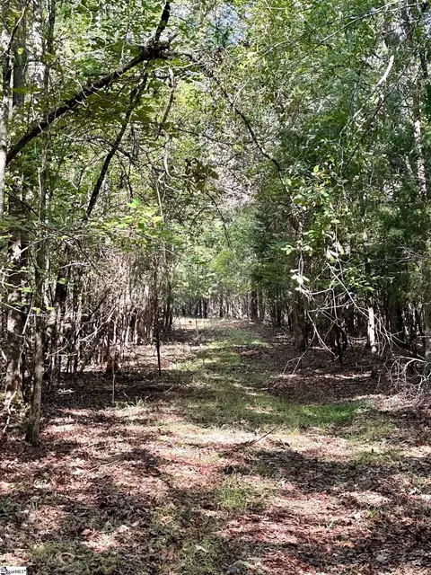 0 Terrapin Rd, Union, SC 29379