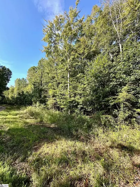 0 Terrapin Rd, Union, SC 29379 photo 10