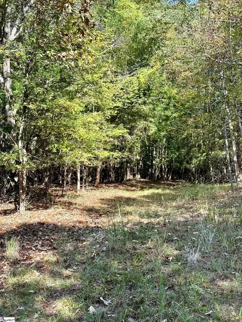 0 Terrapin Rd, Union, SC 29379 photo 4