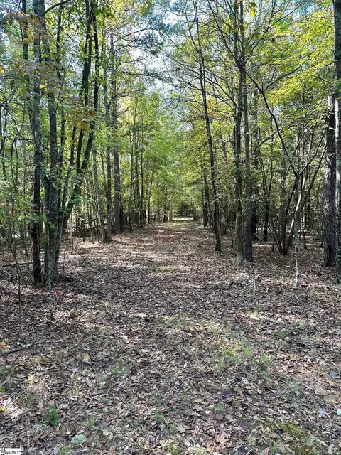 0 Terrapin Rd, Union, SC 29379 photo 7