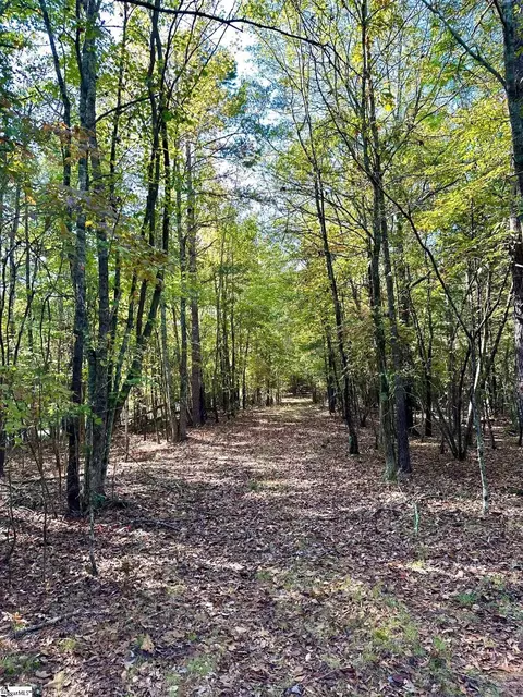 0 Terrapin Rd, Union, SC 29379 photo 8