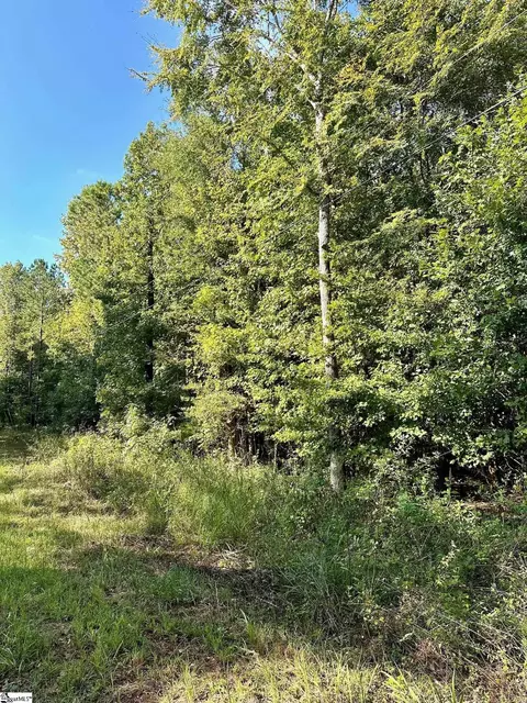 0 Terrapin Rd, Union, SC 29379 photo 9