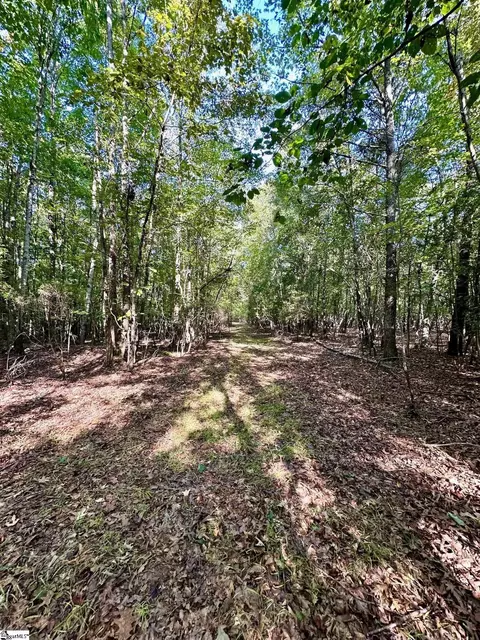 0 Terrapin Rd, Union, SC 29379 photo 2
