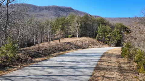 Other - 00 Birkdale Dr, Mill Spring, NC 28756 photo 11 of 19